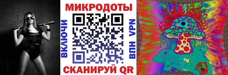 Псилоцибиновые грибы Cubensis  где найти   Калуга 